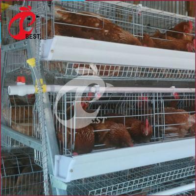 China High Quality Chicken Farm Chicken 3 Layers Of Cage Prices In South Africa for sale