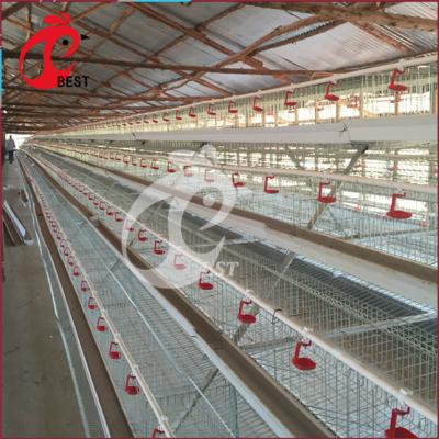 China Chicken Farm Type A Layer Galvanized Chicken Cage System For Sale In Philippines for sale