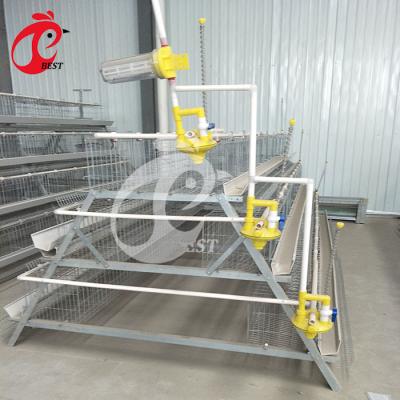 China Automatic Chicken Farm Tiers 120 A Type 3 Layer Chicken Cage System For Sale for sale