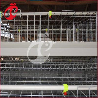 China Chicken Farm Chicken Layer 128 Poultry Farm Chicken Cage For Tanzania for sale