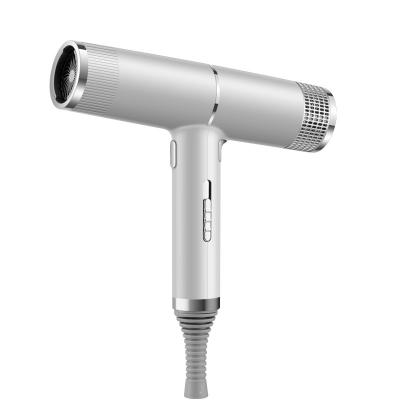 China Wholesale Price Hair Dryer Hairdressing Dryer Ionic Professional Hair Salon Hair Dryer for sale