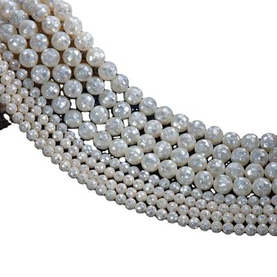 China Natural White Paua Shell Handmade Accessories Wholesale from Shell Necklace Mosaic Round Beads Shell Beads Chain Bracelet for sale