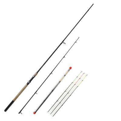 China Spinning Carbon 3m Spinning Carbon Rod Heavy Duty 10ft Fiber Medium Spinning Fishing Rod for sale