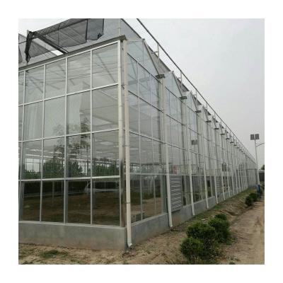 China Wholesale Guaranteed Easily Assembled Greenhouse Glass Greenhouse Glass Garden Quality Agricolture Greenhouse Glass for sale