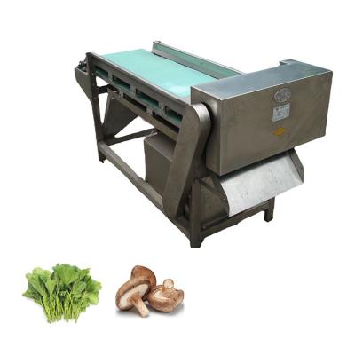 China Small Cutter High Yield Vegetable Multifunctional Straw Cutting Machine For Oyster Mushroom Vegetable Slicer for sale