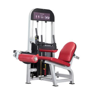 China leg curl Sports Equipment/Gym Commercial Machines for Body Building HDX-T022 for sale