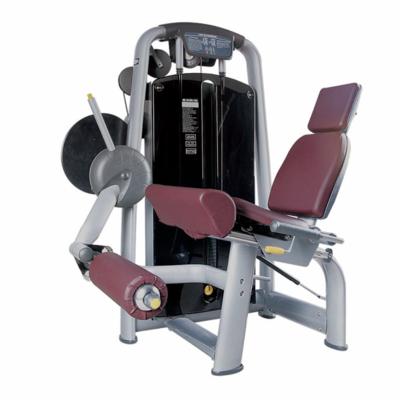 China HDX-T002 Commercial Leg Workout Gym Equipment / Muscle Building Machine HDX-T002 for sale