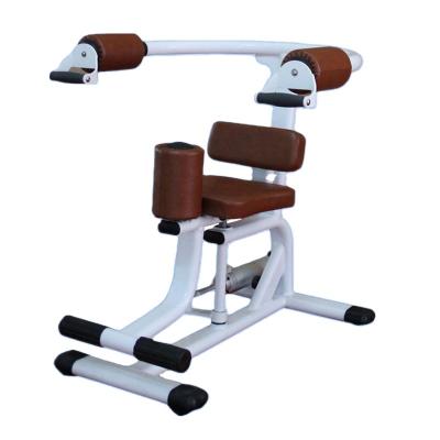 China Bodybuilding Women Fitness Equipment HDX-N010 Indoor Rotary Torso for sale