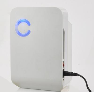 China Newest Hot Selling 005A China Manufacturer Mini Car Portable Home Dehumidifier for sale