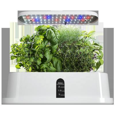 China Minimalist LED Smart Garden Systems Hydroponic Growing Garden With Pump Mini Full Spectrum Indoor Herb Garden for sale