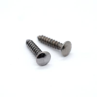 China Din7982 General Industry High Quality Stainless Steel Round Head Tapping Screw for sale