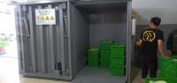 中国 野菜のためのSUS304 CSAの真空のクーラーの圧縮機 販売のため