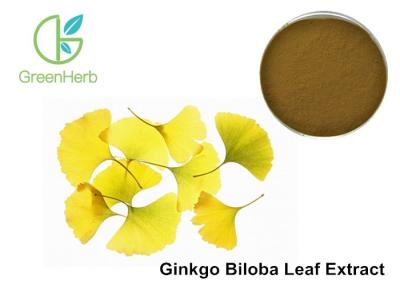 Κίνα Θρεπτικό Flavones σκονών Ginkgo Biloba συμπληρωμάτων οργανικό συνολικό Glycoside 24% προς πώληση