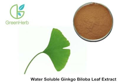 China Water Soluble Beverage Natural Ginkgo Biloba Standardized Extract Solubility 5g / 100ml for sale