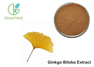 China Barrido del radical libre del polvo del extracto de la hoja de Biloba del Ginkgo de la categoría alimenticia en venta