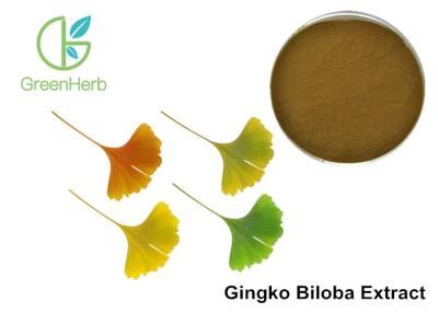 China Organic Ginkgo Biloba Leaf Powder / Ginkgo Biloba L Regulate Blood Lipids for sale