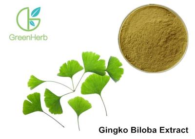 China Low Ginkgolic Acid Ginkgo Biloba Leaf Extract Powder For Dilate Blood Vessels for sale