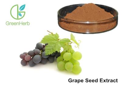 중국 건강한 배려 반대로 순수한 Grapeseed 추출물 95% 폴리페놀 - 피부를 위한 옥시던트 판매용