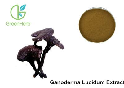 Κίνα Απόσπασμα Lucidum Ganoderma, σκόνη εκχυλισμάτων μανιταριών Reishi μη εκτεθειμένη σε ακτινοβολία προς πώληση