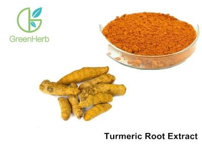 Κίνα Turmeric χρωστικών ουσιών τροφίμων 95% Curcumins φυσικό απόσπασμα ρίζας αντι - εμπρηστικός προς πώληση