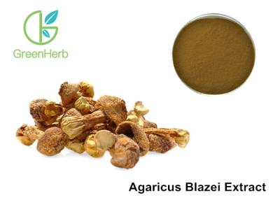 China Agaricus Blazei Extract Promoting Hematopoiesis ,  Medicinal Mushroom Powder for sale