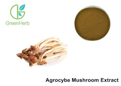 中国 Agrocybe Aegeritaのきのこの多糖類のエキスの粉の反老化 販売のため