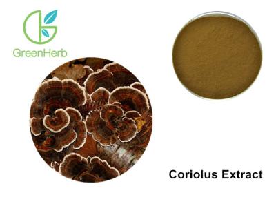 China Coriolus Extract Mushroom Polysaccharides Transforming Phlegm Customized for sale