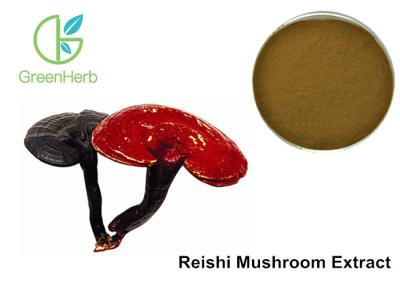 China Extrato puro antienvelhecimento beta D do cogumelo de Reishi - Glucan contra tumores à venda