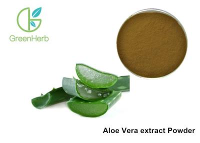 Cina Aloe barbadensis 10/1 della foglia della polvere dell'estratto di Vera dell'aloe intero Miller per medicina/alimento in vendita