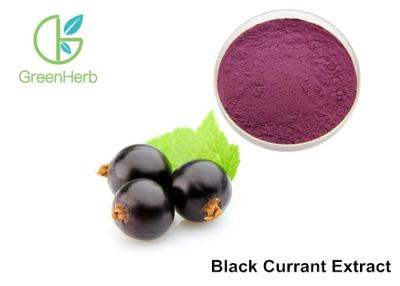 China Natural Black Currant Extract Powder Ribes Nigrum L UV Improving Immunity Non - GMO for sale