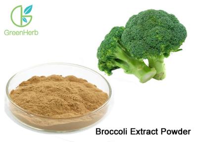 Cina Polveri pura 0,5% - 98% Sulforaphane dell'estratto del germoglio dei broccoli della polvere dell'estratto vegetale in vendita