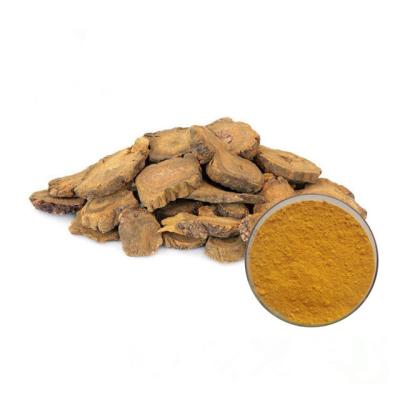 China Herb Rheum Palmatum Extract Rhubarb Root Extract 98% Emodin Powder for sale