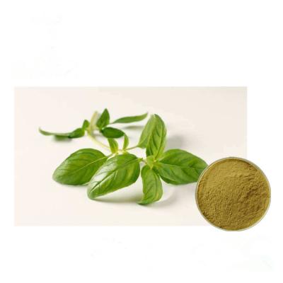 China Food Supplement Ocimum Sanctum Extarct Holy Basil Leaf Extract From Whole Herb for sale