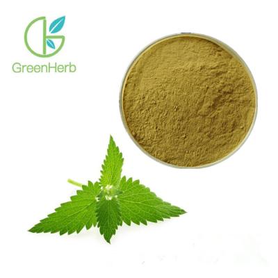 China Lemon Balm Extract Powder / Melissa Officinalis Leaf Extract 98% Pass 80 Mesh for sale