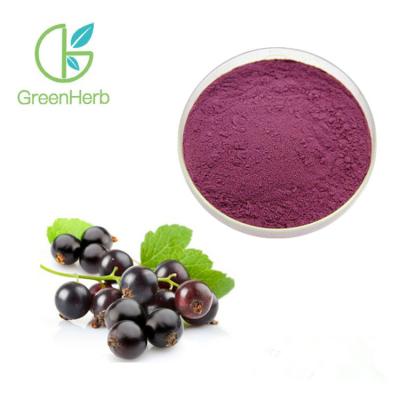 Chine La nourriture biologique rouge mauve-foncé de poudre d'extrait de cassis complète l'essai UV à vendre