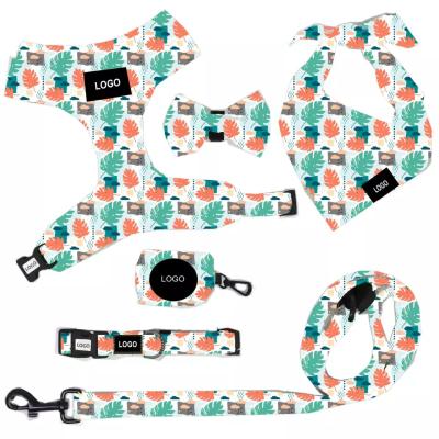 China Fashion Printing Pet Harness Set For Dog Quick Release Sustainable for sale