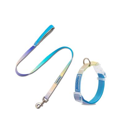 China Plastic Dog Collar Dog Harness Jelly Color PVC PVC Leash Pet Walking Rope for sale