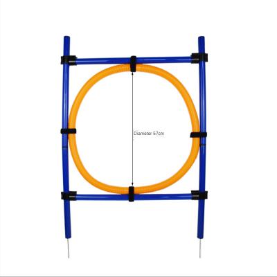 China Sustainable Pet Supplies Dog Jump Ring Jump Circle Training Sensitivity Outdoor Jumping Dog Sporting Goods D406 for sale