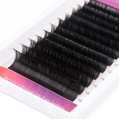 China Natural Eyelash Extensions Dual Density Loop Eyelash Extensions Premium Long Double Density Curl Flat Lashes for sale