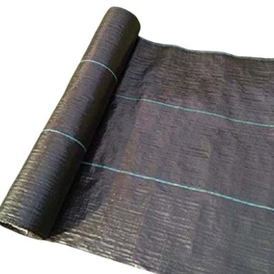 China Agricultural Crop COVER/WEED MAT/WEED PP WOVEN CONTROL GROUND FABRIC for sale