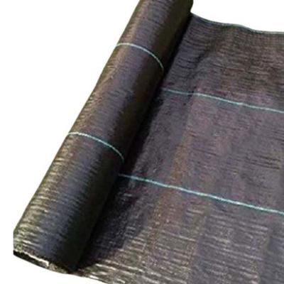 China Agricultural Cultivation Anti Weed Mat UV Treated PP Woven Grass Fabric for sale