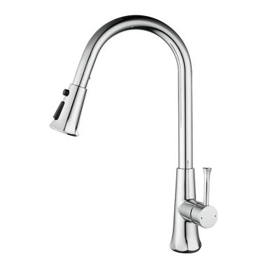 China Sense Faucets Special Design Hot Cold Cold Brass Kitchen Sink Faucet for sale