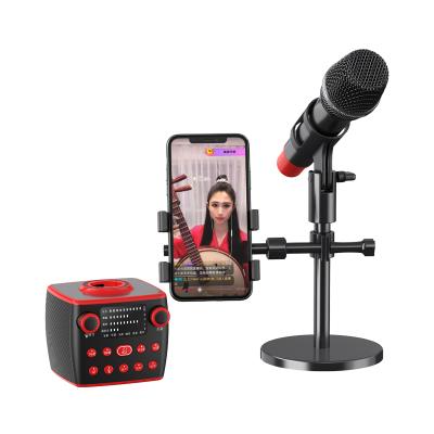 China Factory wholesale professional microphone MC19 fashion portable handheld wireless microphone design for karaoke microphone for sale