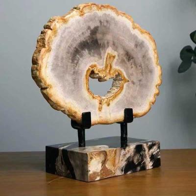 China Wholesale Natural Polished Rough Stone Specimen of Europe Wood Fossil Slab Slice, Petrified Wood Piece for sale