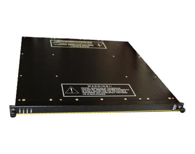 中国 Triconex 3721 Analog Input Module 32 Differential DC Coupled 販売のため