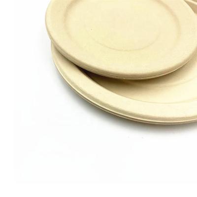 China Hot Sale Eco-friendly Disposable Biodegradable 7