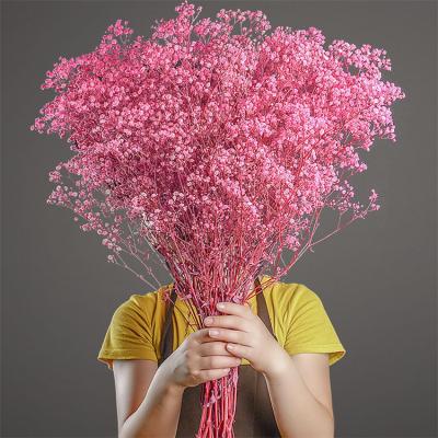 China Plastic Flower Babybreath Lavender Flower Wedding Bouquet Dried Flower Babybreath for sale