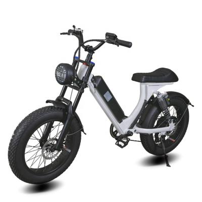 China Aluminum Alloy 500w 750w 1000w Motor Fat Tire Mountain Bike Fatbike Electric Bike for sale