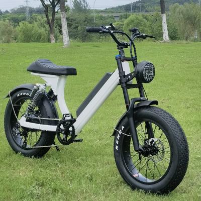 China 2022 New Aluminum Alloy Fat Tire Electric Bike E-Bike 750w 48v Lithium Battery Electric Bicycle Model for sale