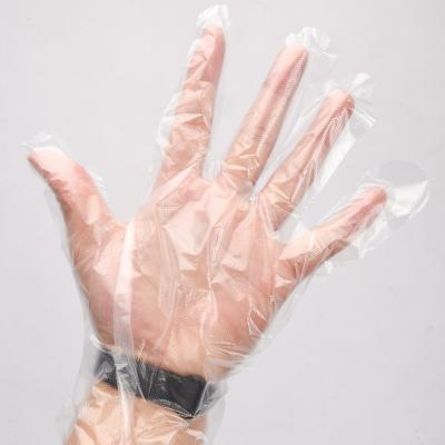 China Medium Thickness HDPE Clear Disposable Food Gloves For Leak Free Cleaning Vinyl Glove for sale